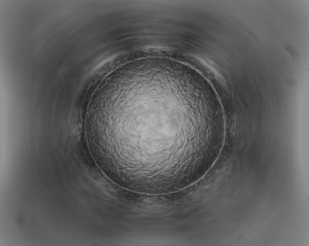 X0000114701015200910211247