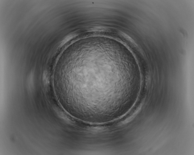 X0000114701017200910211247