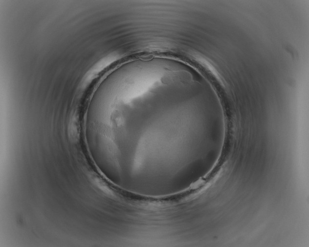 X0000114701018200910211247