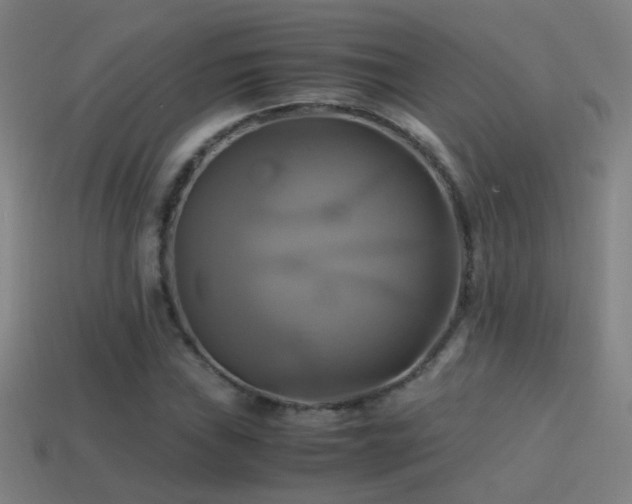 X0000114701019200910211247