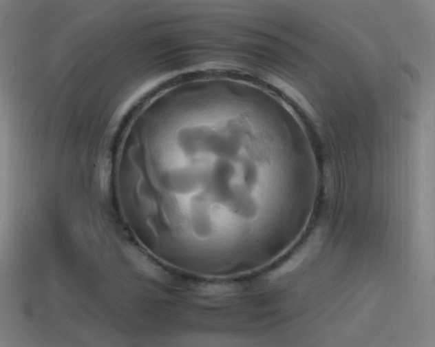 X0000114701021200910211248