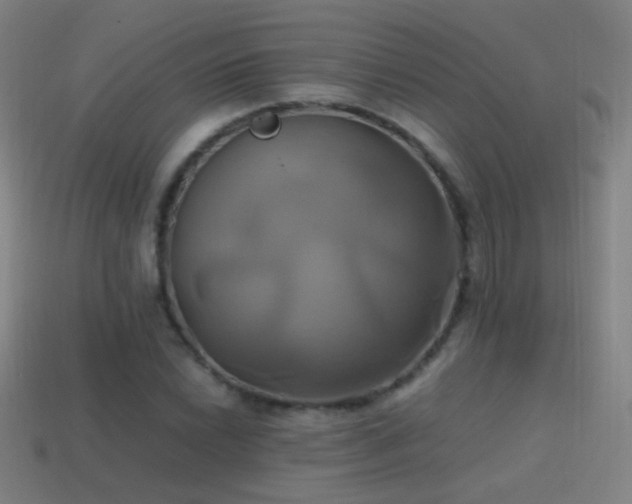 X0000114701022200910211248