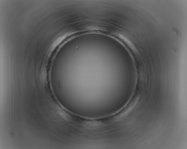 X0000114701023200910211248