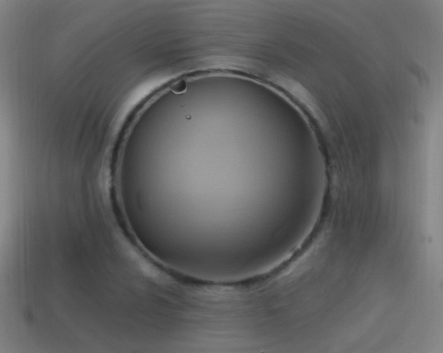 X0000114701024200910211248