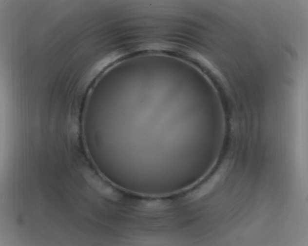 X0000114701025200910211248