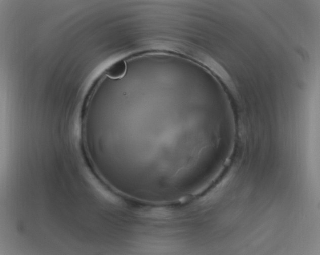 X0000114701028200910211248