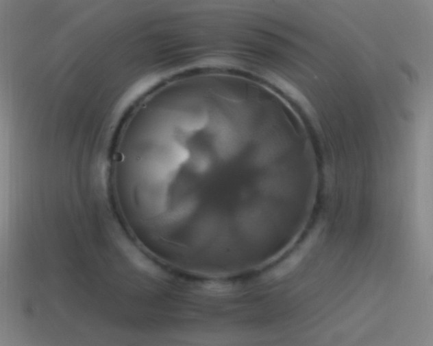 X0000114701029200910211248