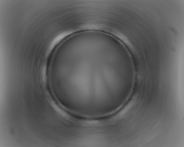 X0000114701030200910211248