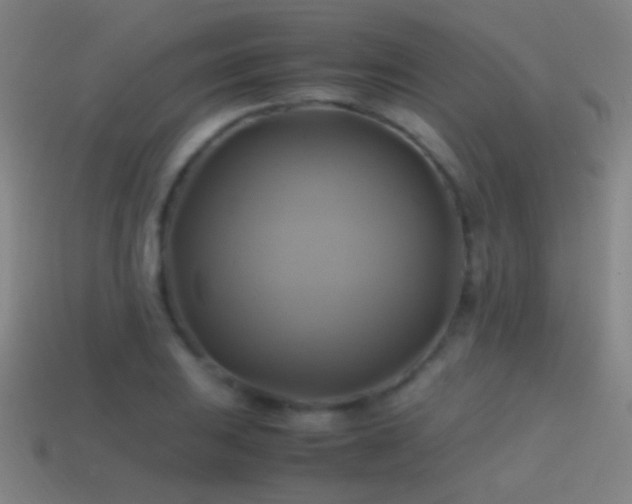 X0000114701031200910211248