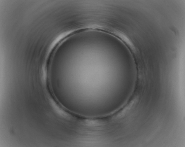 X0000114701032200910211248