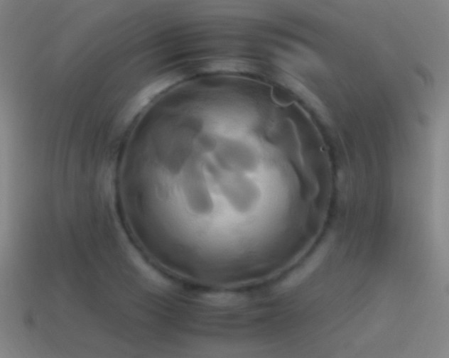 X0000114701033200910211248