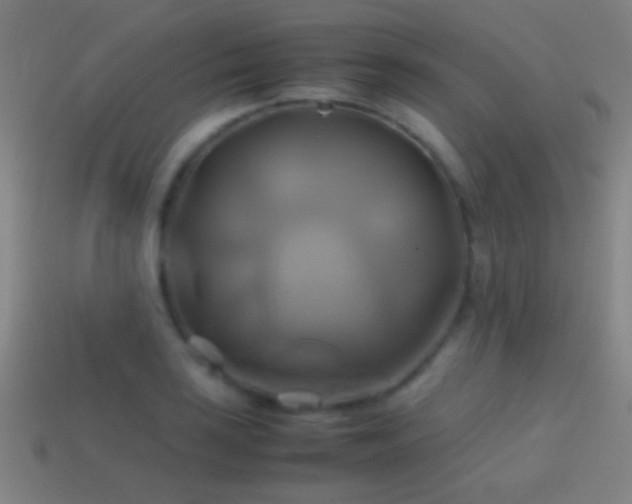 X0000114701035200910211248