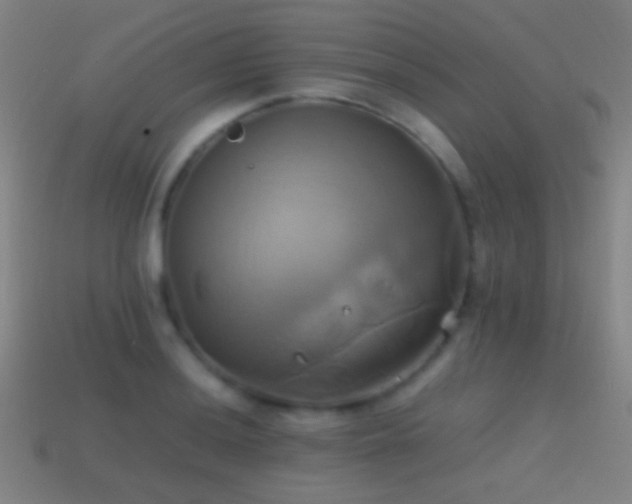 X0000114701036200910211248