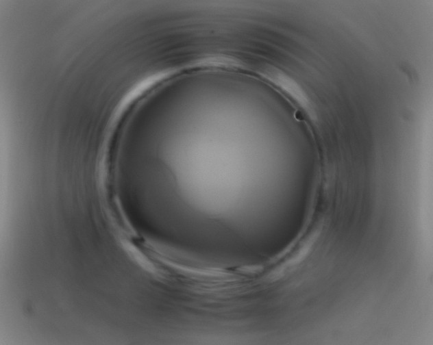 X0000114701037200910211248