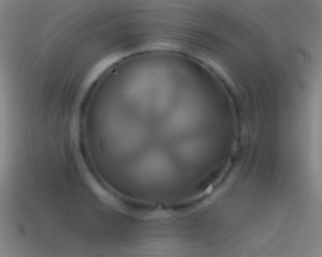 X0000114701038200910211248