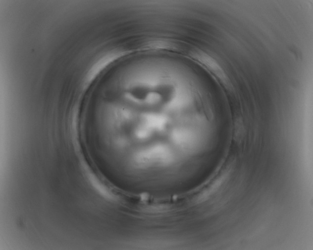 X0000114701039200910211248