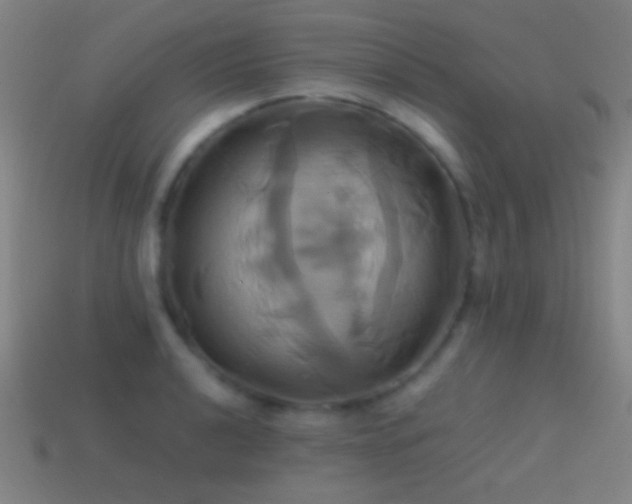 X0000114701040200910211248