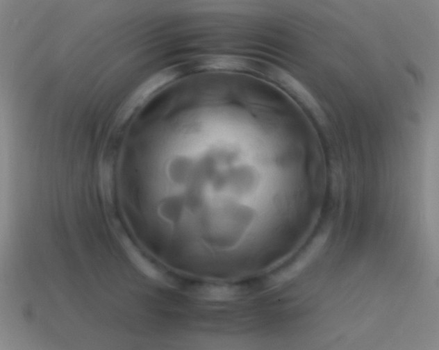 X0000114701041200910211248