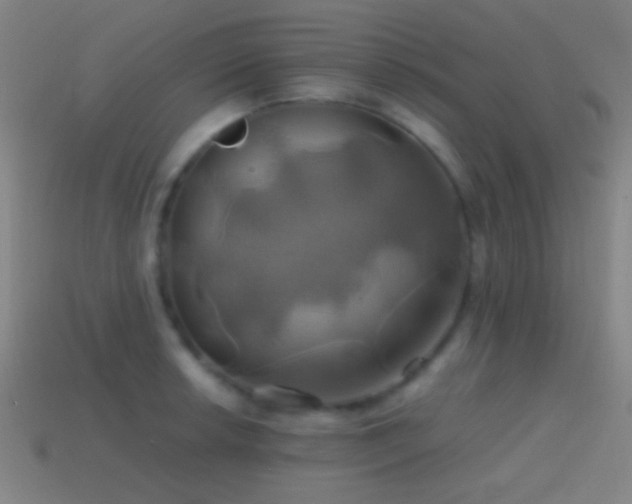 X0000114701042200910211248