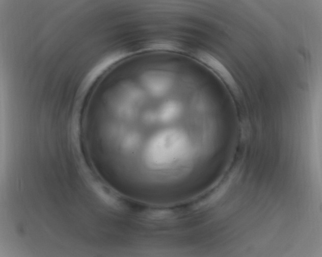 X0000114701043200910211248