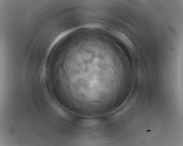 X0000114701044200910211248