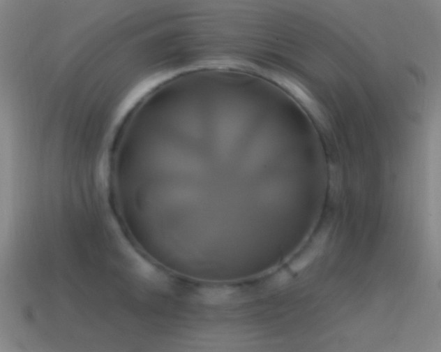 X0000114701046200910211248