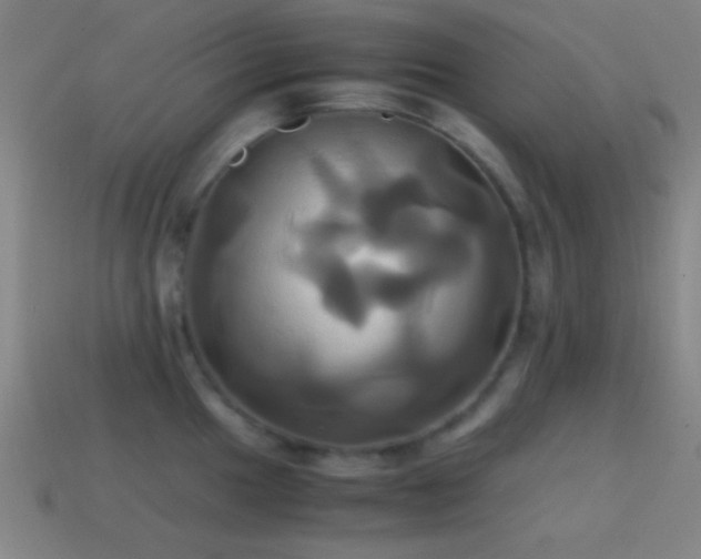 X0000114701049200910211248