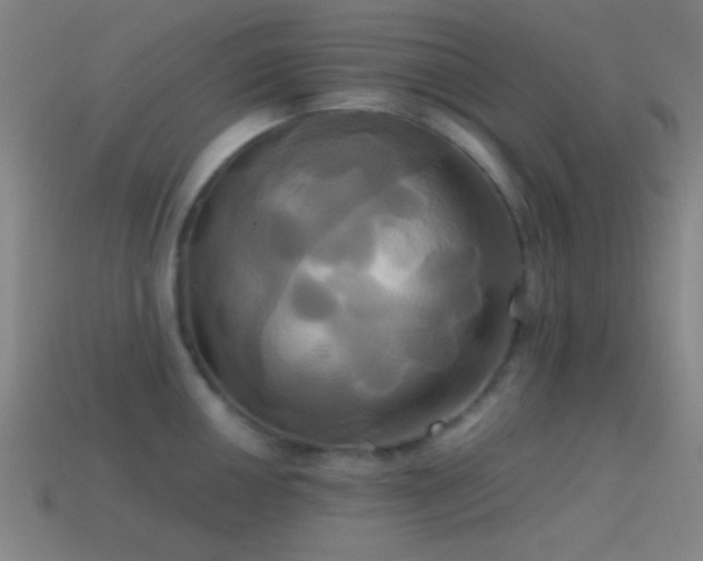 X0000114701050200910211248