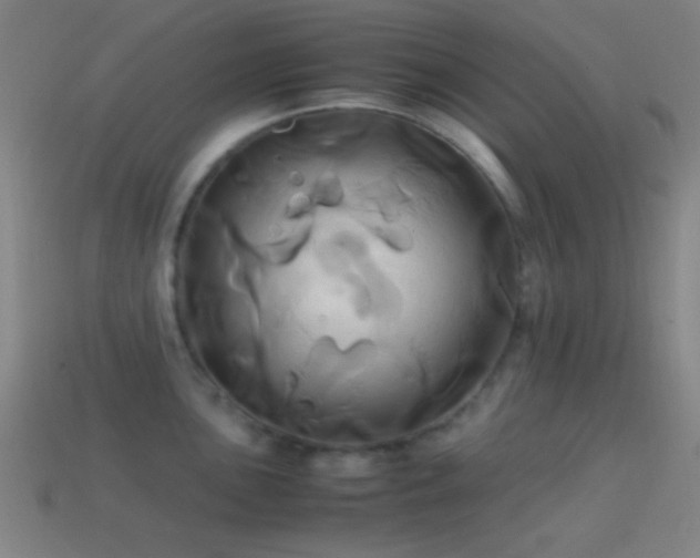 X0000114701051200910211248