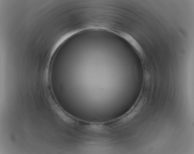 X0000114701052200910211248