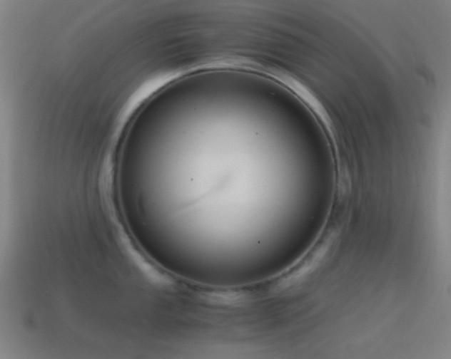 X0000114701053200910211248