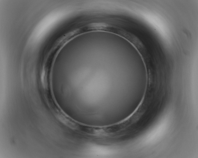 X0000114701054200910211248