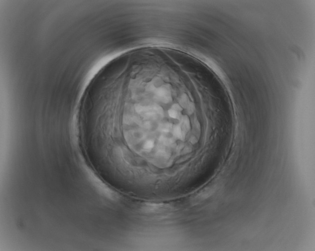 X0000114701056200910211248