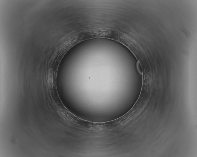 X0000114701058200910211247