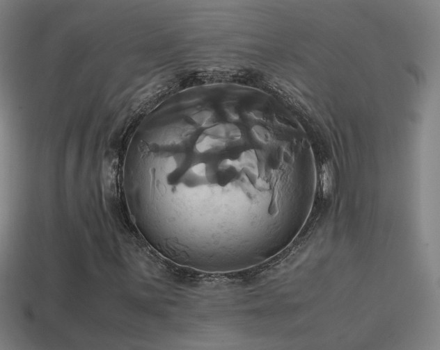 X0000114701059200910211247