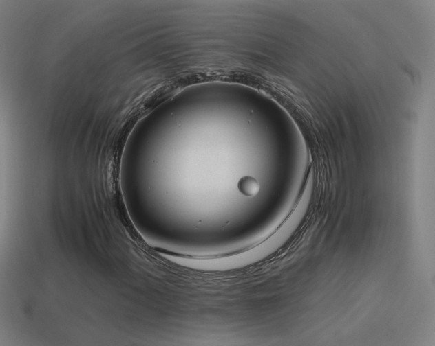 X0000114701060200910211247