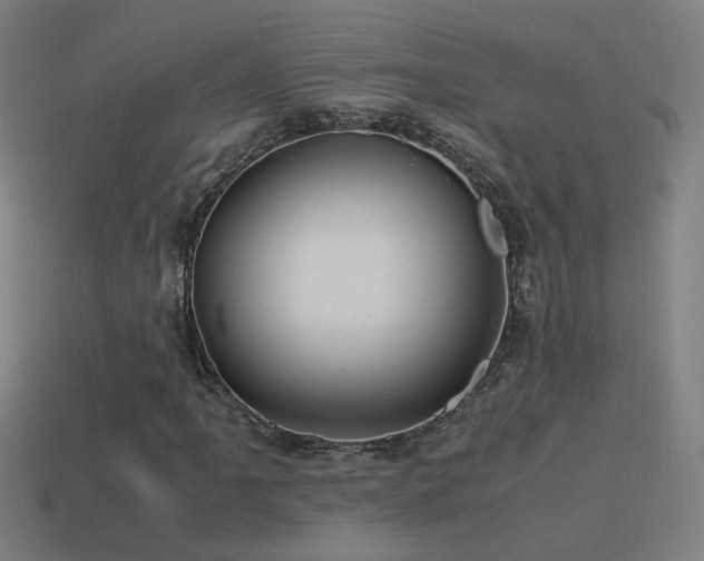 X0000114701061200910211247