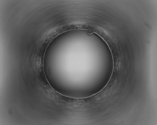 X0000114701062200910211247