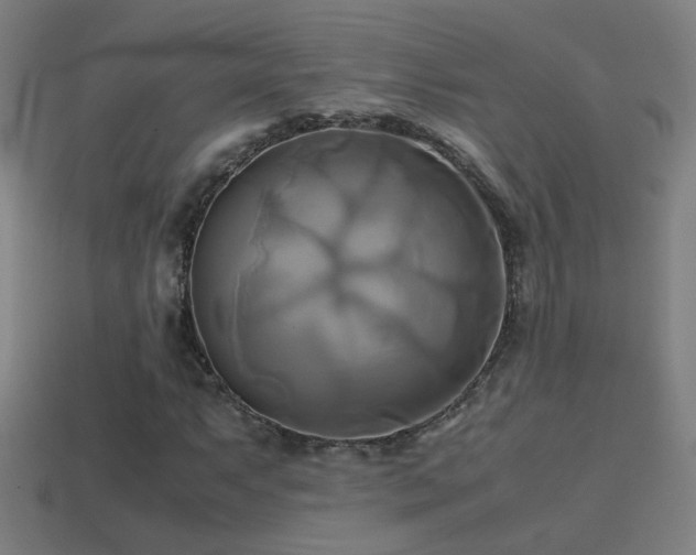 X0000114701063200910211247