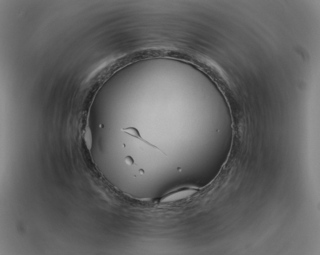 X0000114701064200910211247