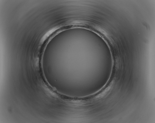 X0000114701066200910211247