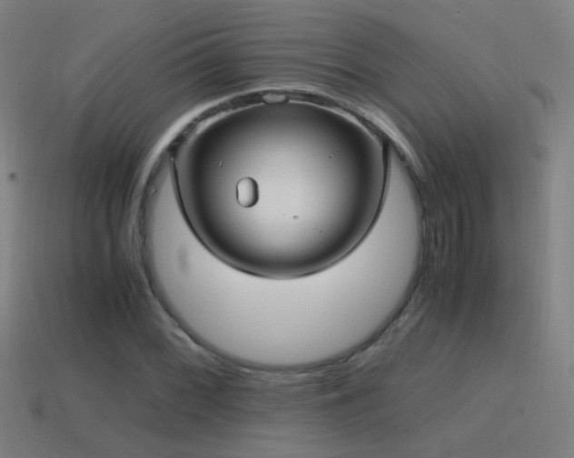 X0000114701068200910211247