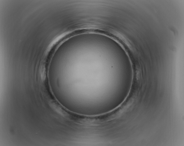 X0000114701069200910211247