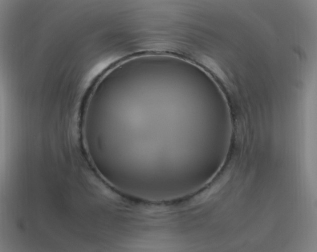 X0000114701071200910211247