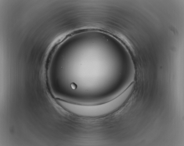 X0000114701072200910211247