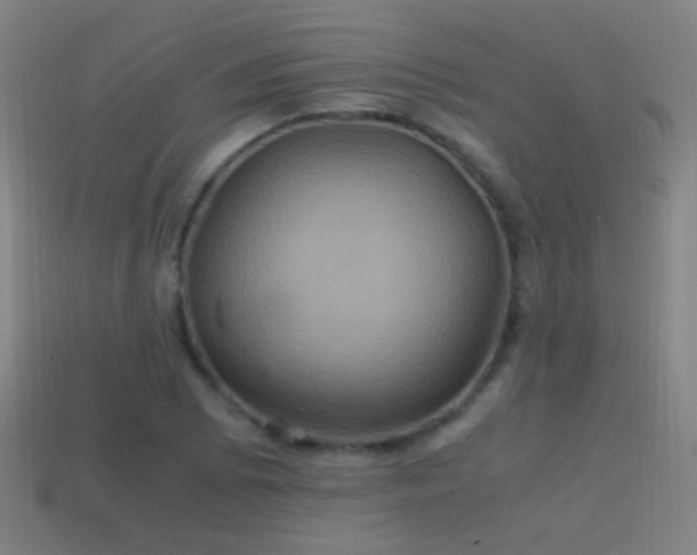 X0000114701073200910211247