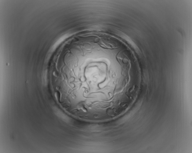 X0000114701075200910211247