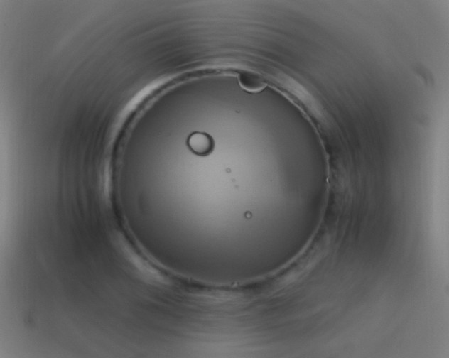 X0000114701076200910211247