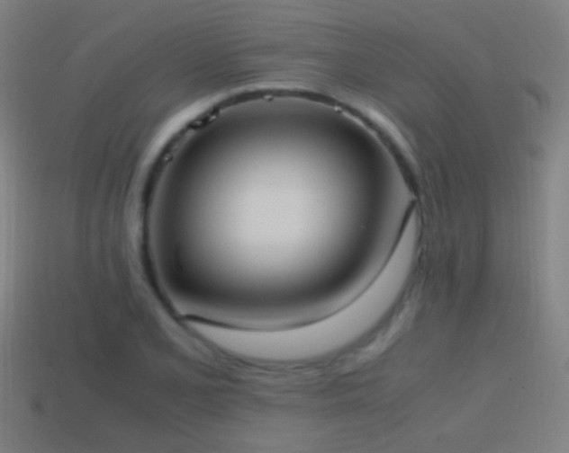 X0000114701077200910211247