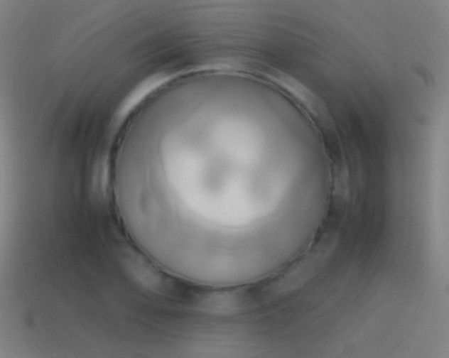 X0000114701078200910211247